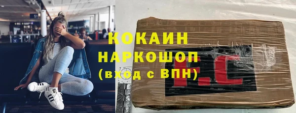 индика Алексин