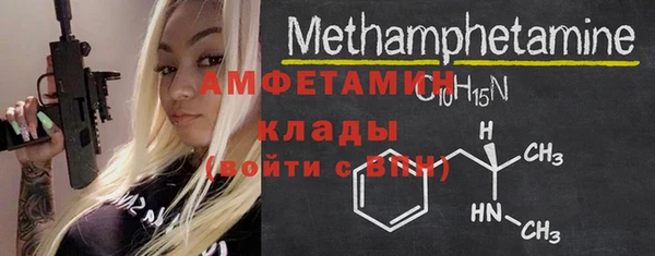 индика Алексин