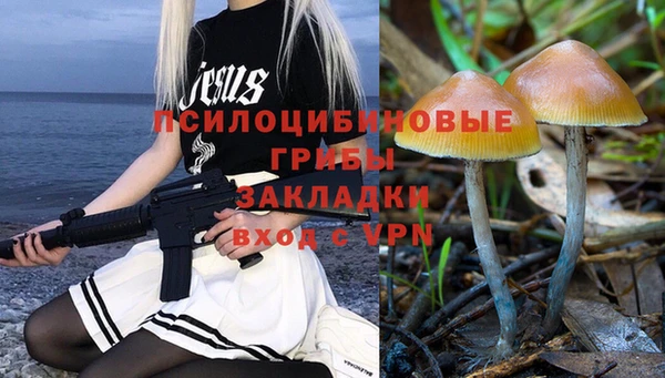 PSILOCYBIN Алзамай
