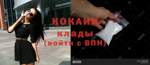 индика Алексин
