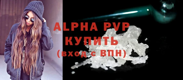 индика Алексин
