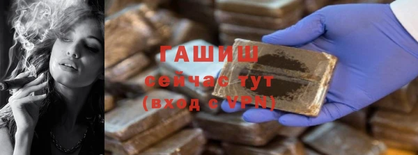 PSILOCYBIN Алзамай