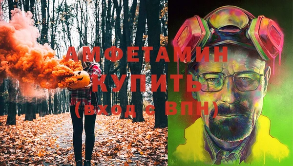 индика Алексин