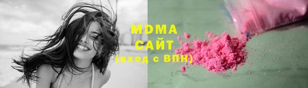 индика Алексин