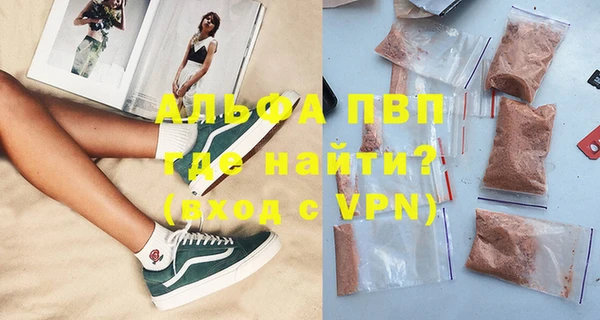 индика Алексин
