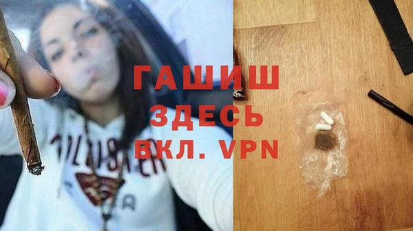 PSILOCYBIN Алзамай