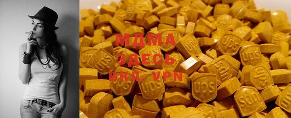 PSILOCYBIN Алзамай
