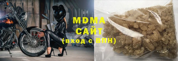 PSILOCYBIN Алзамай