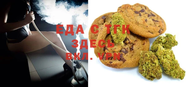 индика Алексин