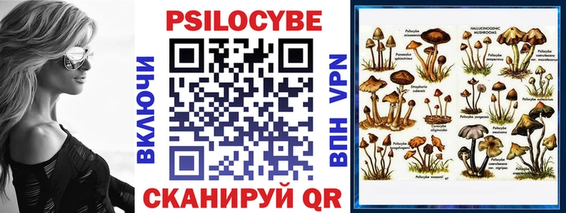 цена наркотик  Алзамай  Псилоцибиновые грибы Cubensis 