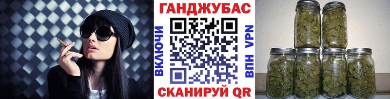 МАРИХУАНА сатива  наркотики  Алзамай 